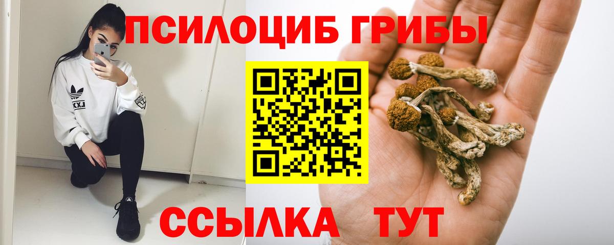 Псилоцибиновые грибы Cubensis  Вход с VPN  Орск 